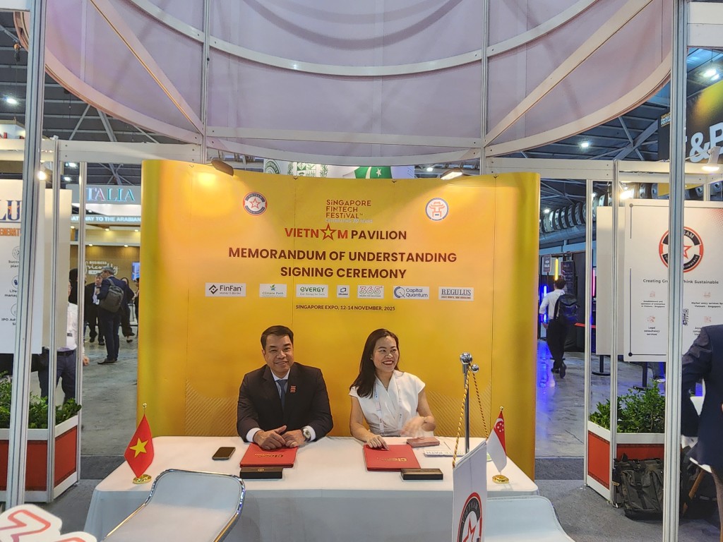 Hình ảnh 12