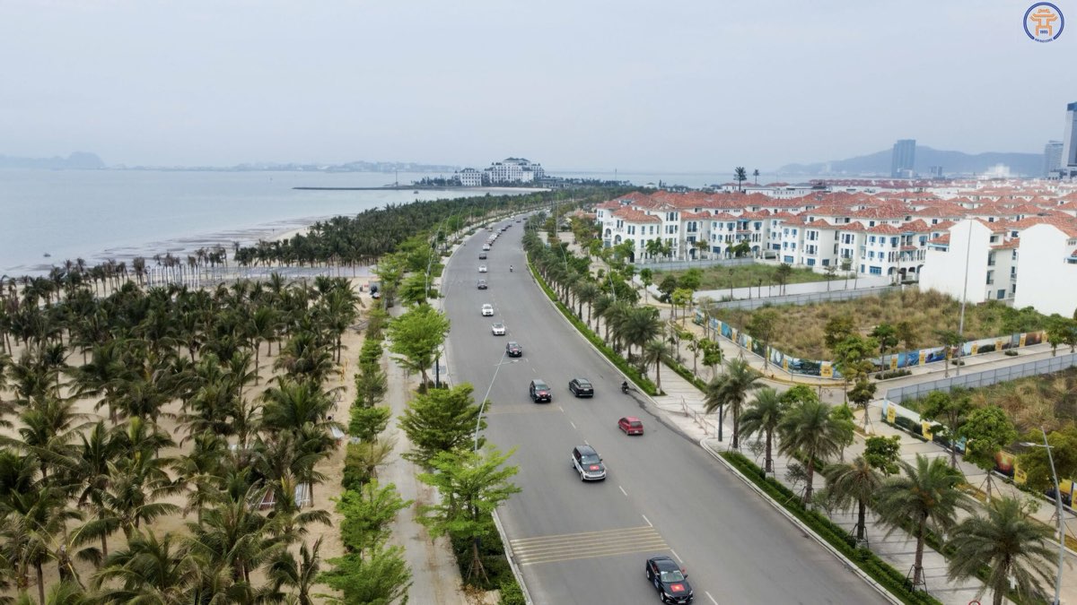 Hình ảnh 8