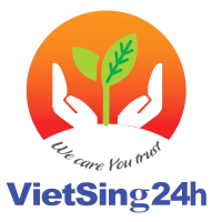 VietSing24h – Study Overseas